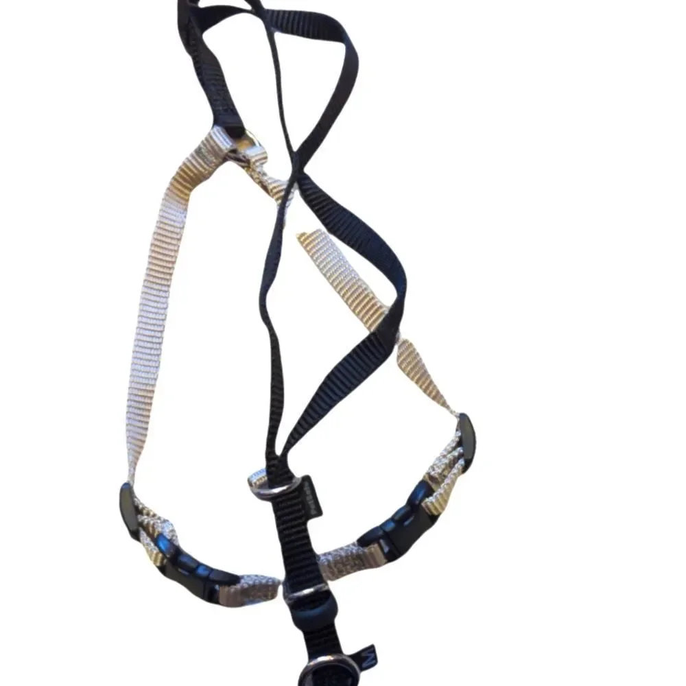 Cat harness